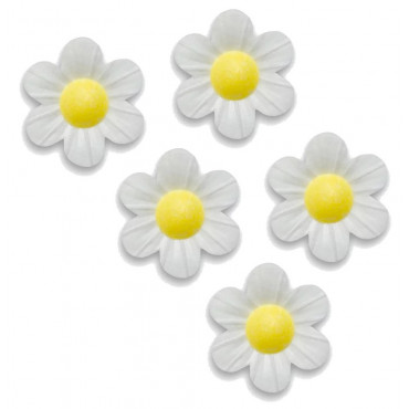 Kwiatki waflowe Niezapominajki Białe 5szt