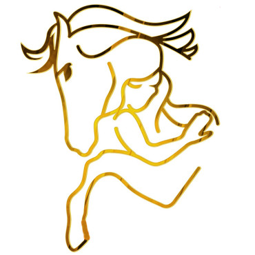Topper linearny akrylowy na tort złoty Koń z dziewczynką 11441