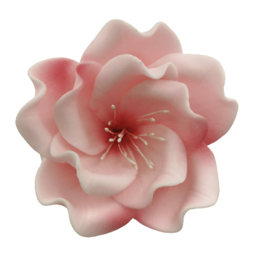 Dekoracja do ozdoby tortu Kwiat Eustoma cukrowy Różowy 8cm 11465