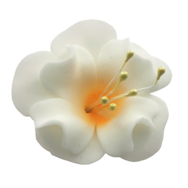 Dekoracja do ozdoby tortu Kwiat Magnolia cukrowa Biała z żółtym środkiem 6cm 11497