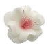 Dekoracja do ozdoby tortu Kwiat Magnolia cukrowa Biała z różowym środkiem 6cm 11500