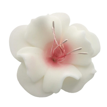 Dekoracja do ozdoby tortu Kwiat Magnolia cukrowa Biała z różowym środkiem 6cm 11500
