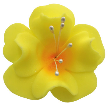 Kwiat cukrowy do dekoracji tortu Magnolia cukrowa Żółta 6cm 12390
