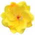 Kwiat cukrowy do dekoracji wypieków Eustoma Żółta 8cm 12418