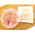 Topper na babeczkę bento Happy Birthday 1 sztuka 13513