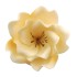 Dekoracja do ozdoby tortu Kwiat Eustoma cukrowy Ecru 8cm 11464
