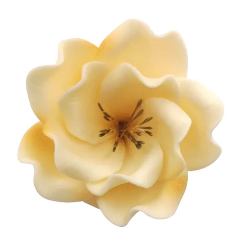 Dekoracja do ozdoby tortu Kwiat Eustoma cukrowy Ecru 8cm 11464