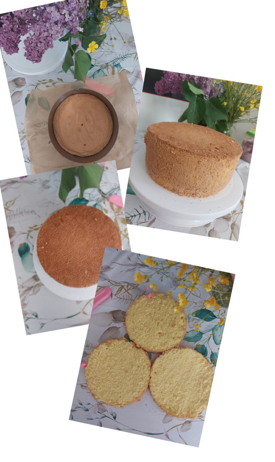 Czy Od Razu Wyjmować Biszkopt Z Piekarnika dlasmaku.com.pl